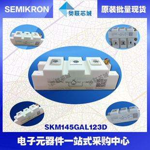 SKM145GAL123D 功率西門康可控硅模塊,現(xiàn)貨直銷!