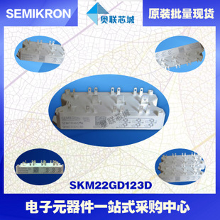 SKM22GD124D 功率西門康可控硅模塊,現(xiàn)貨直銷!