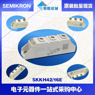 SKKH41/16E 功率西門康可控硅模塊,現(xiàn)貨直銷!