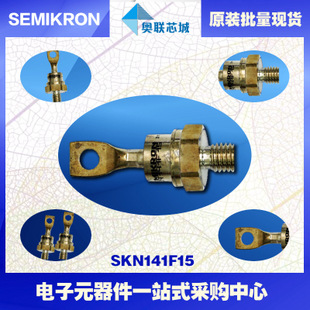 全新原裝功率平板晶閘管模塊SKN141F17 特價(jià)熱賣！