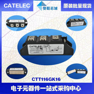 全新原裝西班牙可控硅模塊CTT116GK08大批量,現(xiàn)貨,直銷！