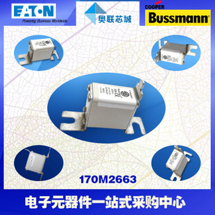 特價(jià)，原裝BUSSMANN快速熔斷器170M2683現(xiàn)貨,熱賣!