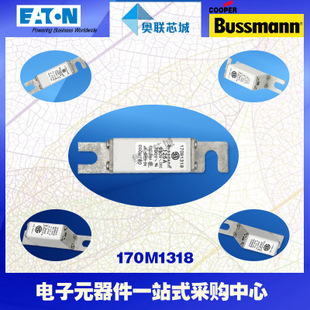 特價，原裝BUSSMANN快速熔斷器170M1314現貨,熱賣!