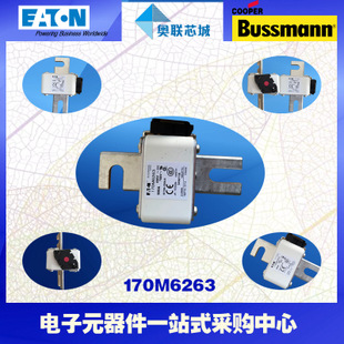 特價，原裝BUSSMANN快速熔斷器170M6301現(xiàn)貨,熱賣!