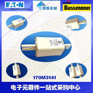特價，原裝BUSSMANN快速熔斷器170M3113現(xiàn)貨,熱賣!