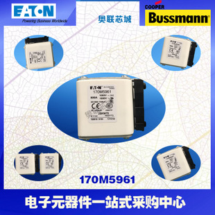 特價(jià)，原裝BUSSMANN快速熔斷器170M5953現(xiàn)貨,熱賣!