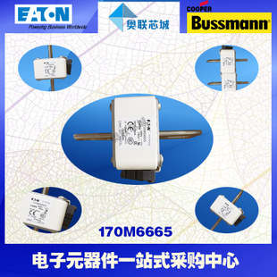 特價，原裝BUSSMANN快速熔斷器170M6710現(xiàn)貨,熱賣!