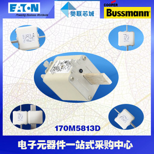 特價，原裝BUSSMANN快速熔斷器170M5925現(xiàn)貨,熱賣!